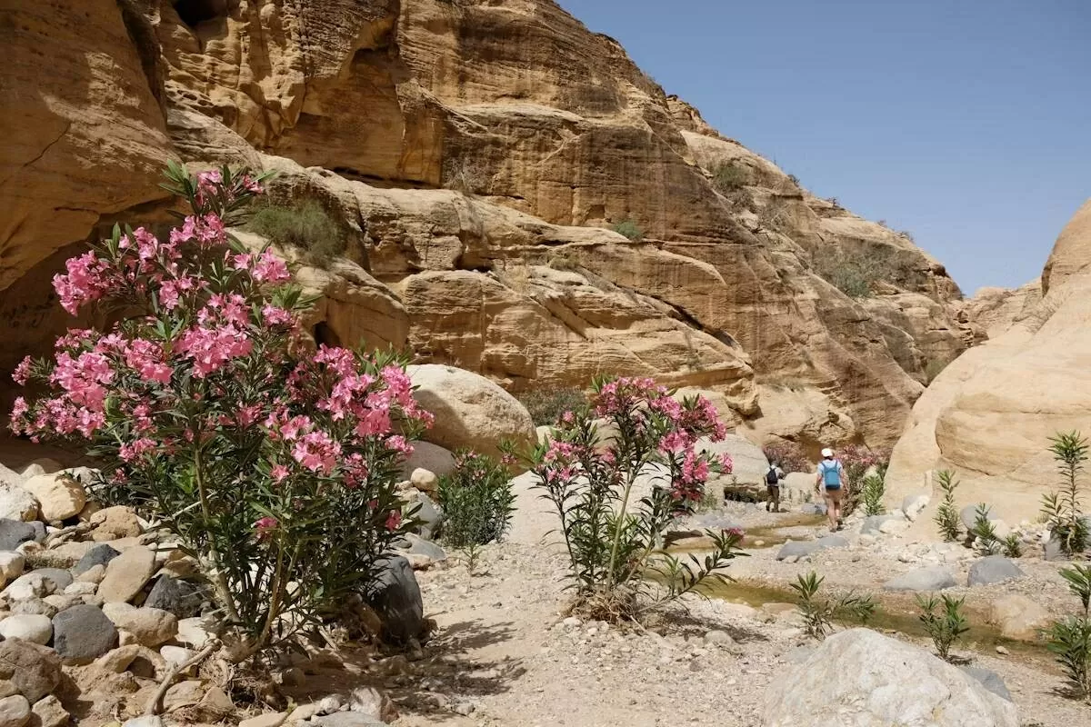 Những điểm đến không thể bỏ lỡ tại Jordan