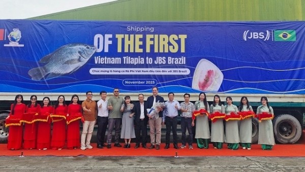 Lô hàng cá rô phi Việt Nam đầu tiên xuất khẩu sang Brazil