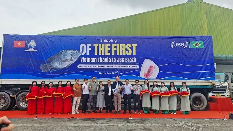 Lô hàng cá rô phi Việt Nam đầu tiên xuất khẩu sang Brazil Lô hàng cá rô phi Việt Nam đầu tiên xuất khẩu sang Brazil