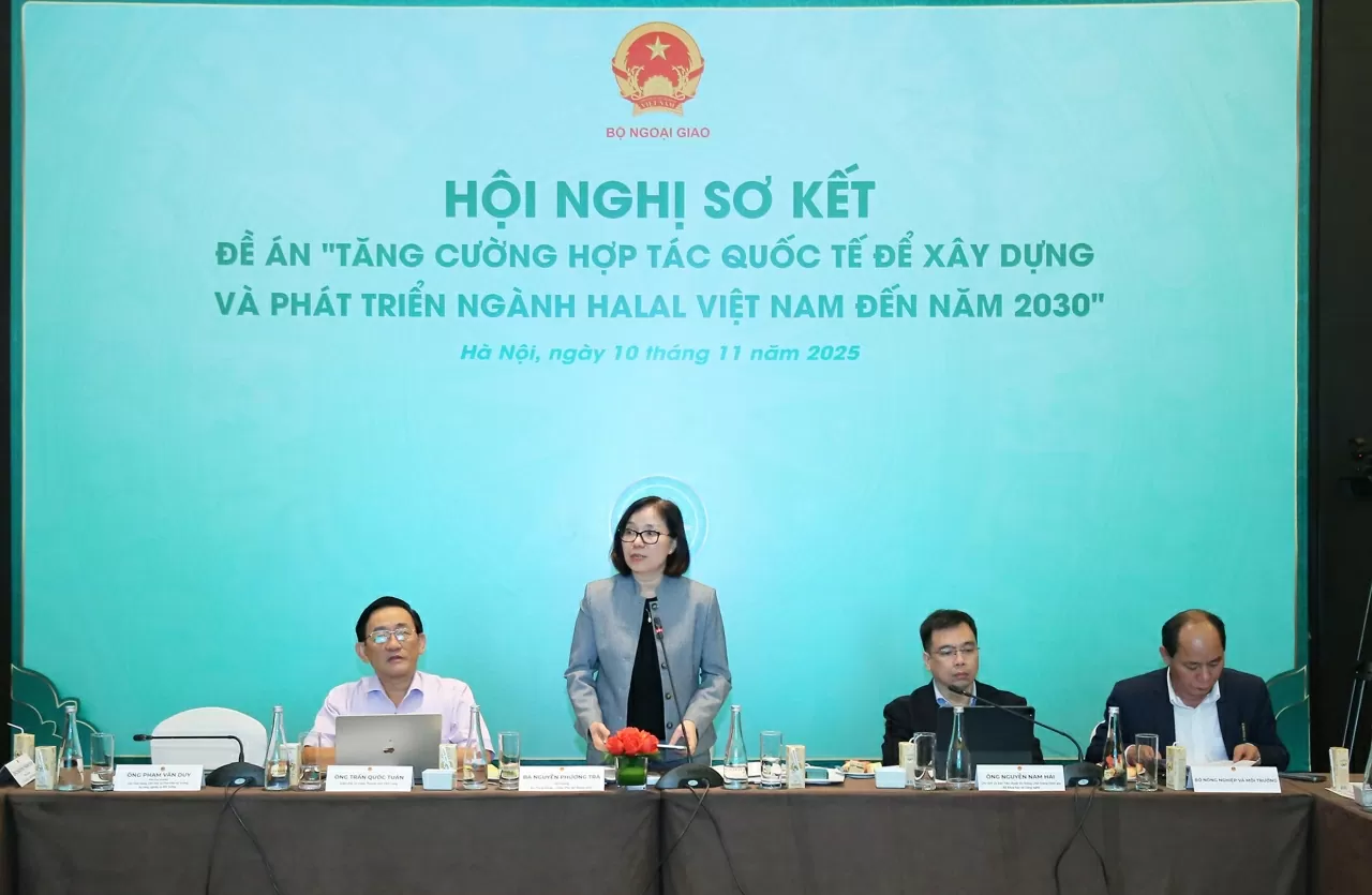  Bà Nguyễn Phương Trà, Vụ trưởng Vụ Trung Đông - Châu Phi, Bộ Ngoại giao phát biểu kết luận. (Ảnh: Thành Long)