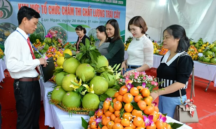 Lễ hội trái cây Bắc Ninh 2025 có nhiều điểm khác biệt. (Nguồn: Báo Bắc Ninh) Lễ hội trái cây Bắc Ninh 2025 có nhiều điểm khác biệt. (Nguồn: Báo Bắc Ninh)