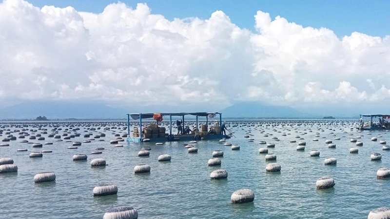 'Xóa sổ' hoàn toàn tàu cá '3 không', Quảng Ninh quyết liệt cùng cả nước gỡ thẻ vàng IUU