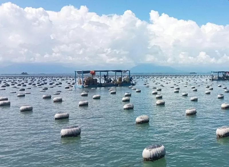 Xóa sổ hoàn toàn tàu cá 3 không, Quảng Ninh chung tay cùng cả nước gỡ cảnh báo thẻ vàng IUU Xóa sổ hoàn toàn tàu cá 3 không, Quảng Ninh chung tay cùng cả nước gỡ cảnh báo thẻ vàng IUU