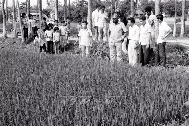 Bộ trưởng Nông nghiệp Angola Fernando Faustino Muteka thăm hợp tác xã nông nghiệp huyện Gia Lâm, Hà Nôi (tháng 5/1984). (Nguồn: TTXVN)