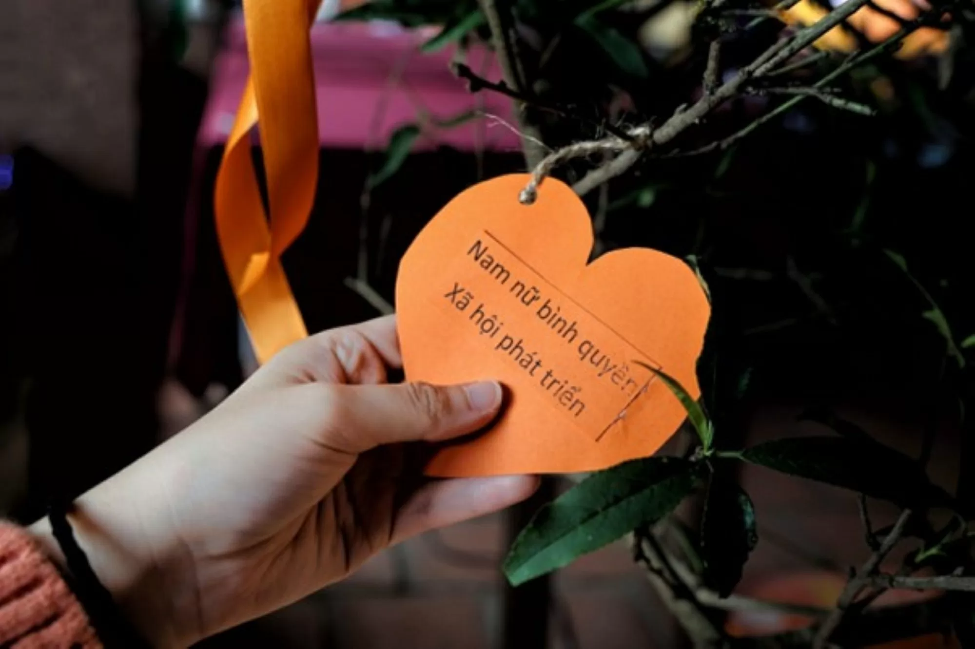 Tập đoàn TH 'tô cam' thúc đẩy bình đẳng giới và an toàn cho phụ nữ, trẻ em gái trong kỷ nguyên số Tập đoàn TH 'tô cam' thúc đẩy bình đẳng giới và an toàn cho phụ nữ, trẻ em gái trong kỷ nguyên số