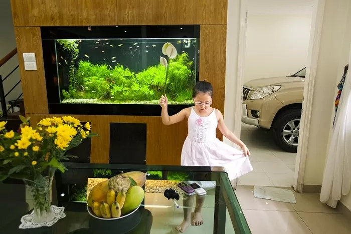 Một Việt Nam đang đổi thay qua ống kính nhiếp ảnh gia Catherine Karnow