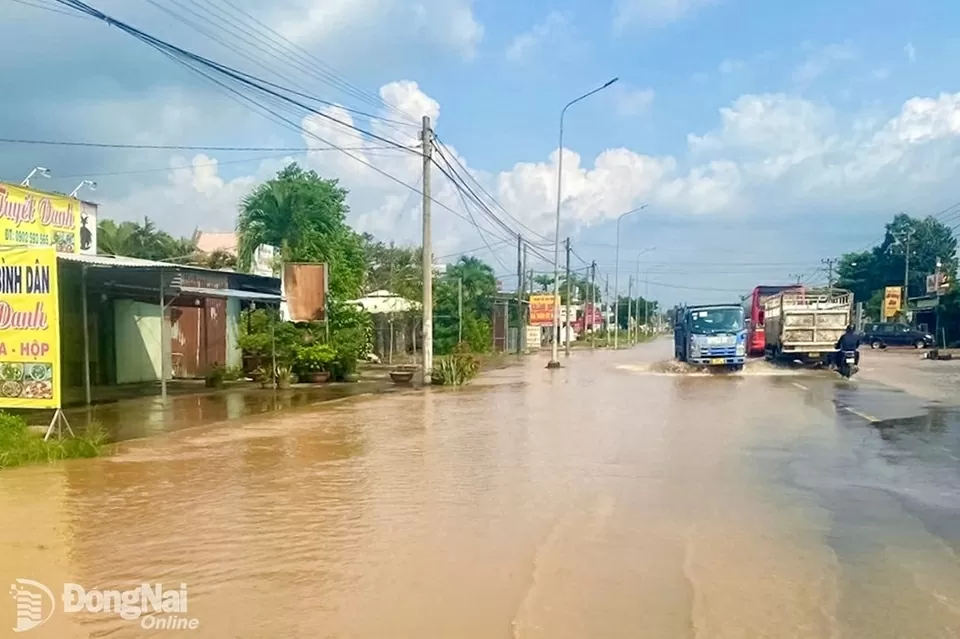 Lịch cúp điện Đồng Nai hôm nay ngày 14/11/2025 Lịch cúp điện Đồng Nai hôm nay ngày 14/11/2025