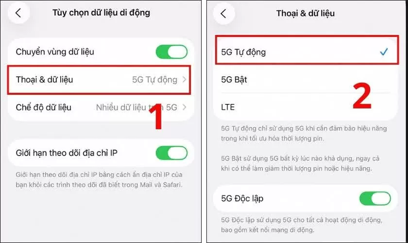 Chọn Thoại & dữ liệu, bật 5G.