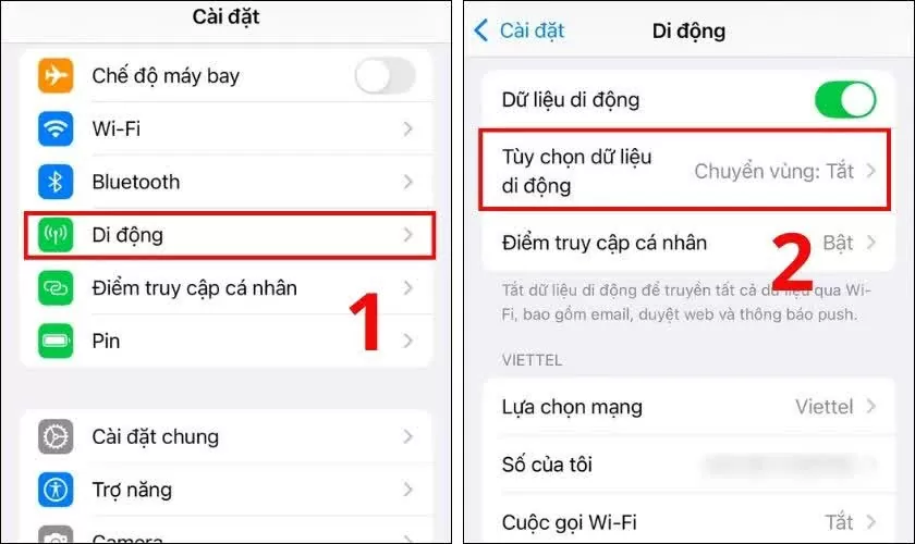 Truy cập Di động và Tùy chọn dữ liệu di động..