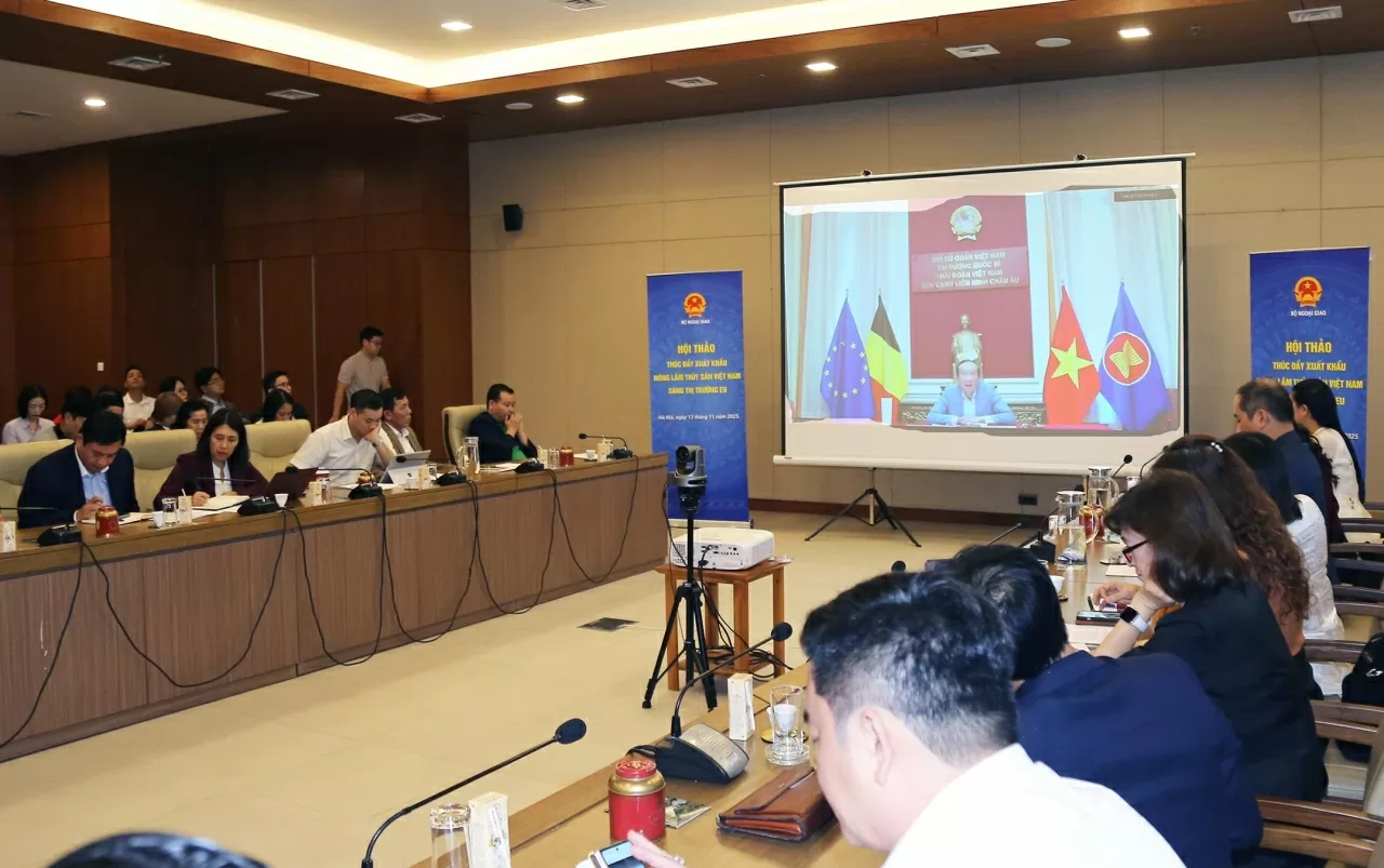 Đại sứ, Trưởng Phái đoàn Việt Nam tại Bỉ - EU Nguyễn Văn Thảo phát biểu trực tuyến tại Hội thảo. (Ảnh: Thành Long)