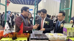Việt Nam đang khẳng định vai trò dẫn dắt trong quan hệ thương mại và đầu tư ASEAN-Hàn Quốc