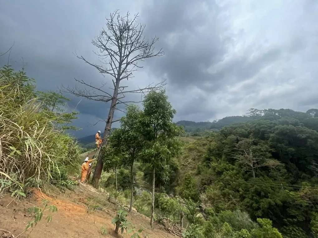 Lịch cúp điện Quảng Ngãi hôm nay ngày 17/11/2025 Lịch cúp điện Quảng Ngãi hôm nay ngày 17/11/2025