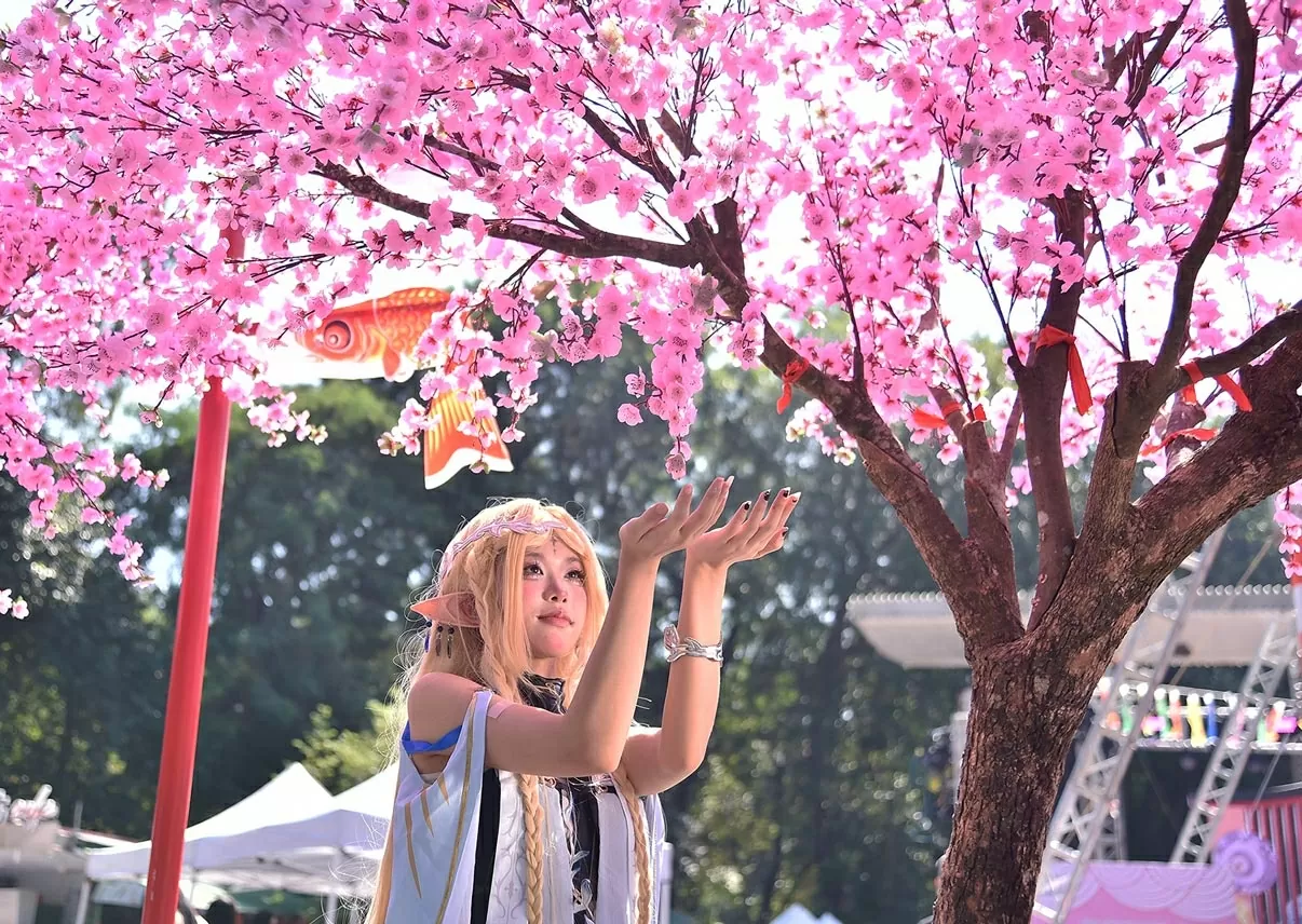 Tưng bừng khai mạc Kanagawa festival 2025 tại Hà Nội