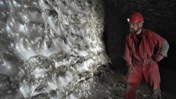 Phát hiện mạng nhện khổng lồ của loài nhện Tegenaria domestica