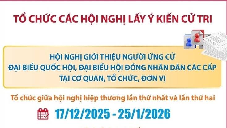 Tổ chức các hội nghị lấy ý kiến cử tri: Giới thiệu người ứng cử đại biểu Quốc hội, đại biểu HĐND các cấp tại cơ quan, tổ chức, đơn vị