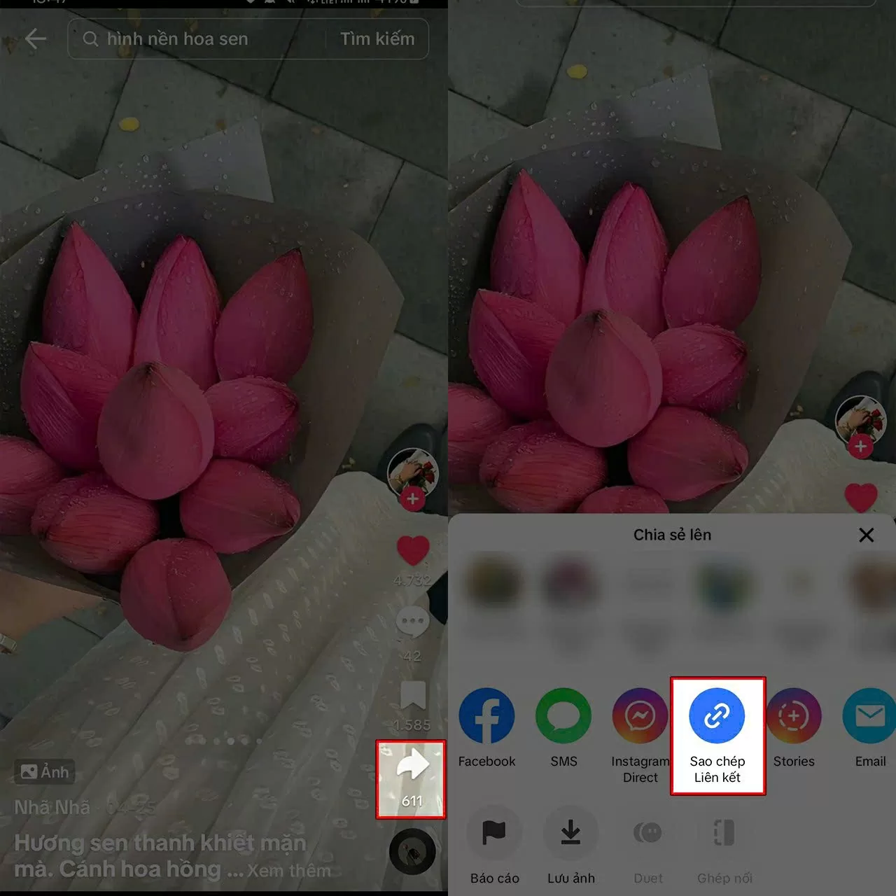 Mở video TikTok chứa ảnh bạn muốn lưu.
