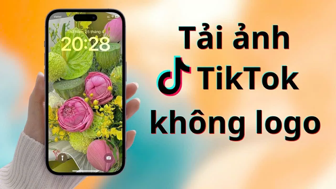 Cách tải ảnh từ TikTok không có logo mà ảnh vẫn giữ chất lượng.
