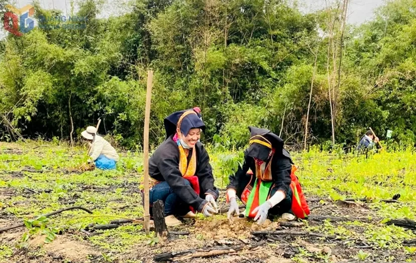 Giá trị văn hóa là nguồn lực nội sinh giúp Quảng Ninh phát triển nhanh, bền vững Giá trị văn hóa là nguồn lực nội sinh giúp Quảng Ninh phát triển nhanh, bền vững
