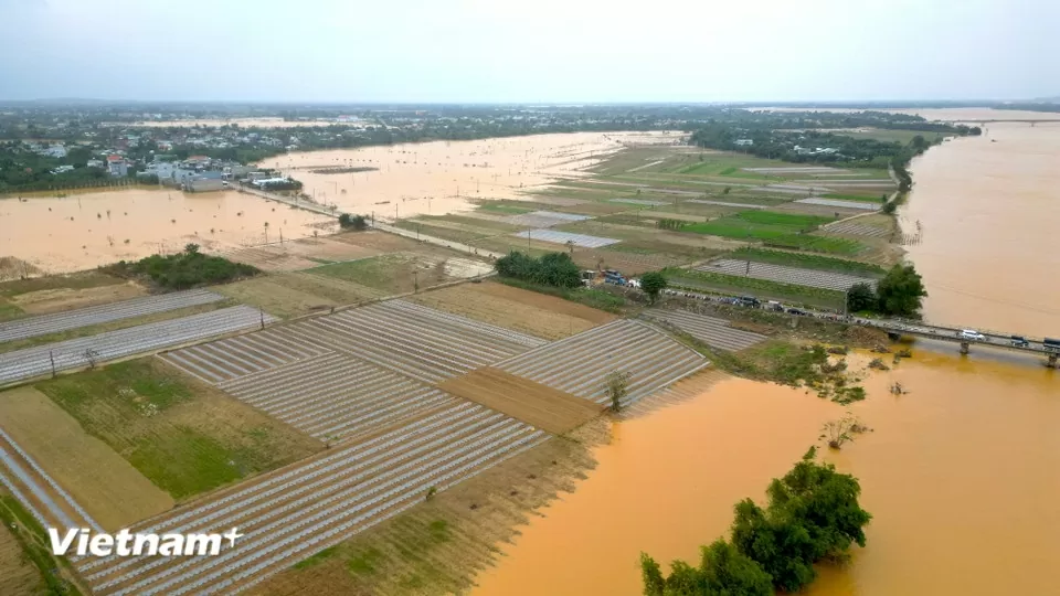 Vùng rau Bàu Tròn, xã Đại Lộc là vùng chuyên canh lớn của TP. Đà Nẵng, nơi đây cung cấp rau sạch cho cả thành phố và một phần của khu vực miền Trung. Trong ảnh, một phần vùng rau vẫn chìm trong biển nước. 