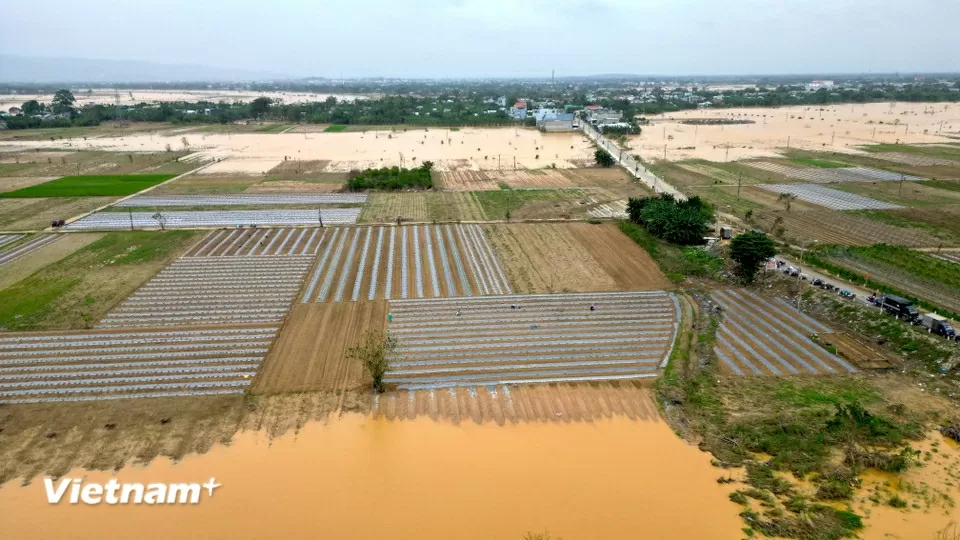 TP. Đà Nẵng: Làng rau Bàu Tròn hồi sinh sau 3 lần mất trắng vì lũ dữ miền Trung