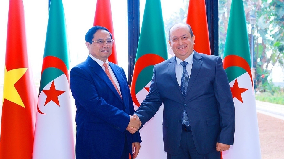 viet nam algeria nang cap len doi tac chien luoc