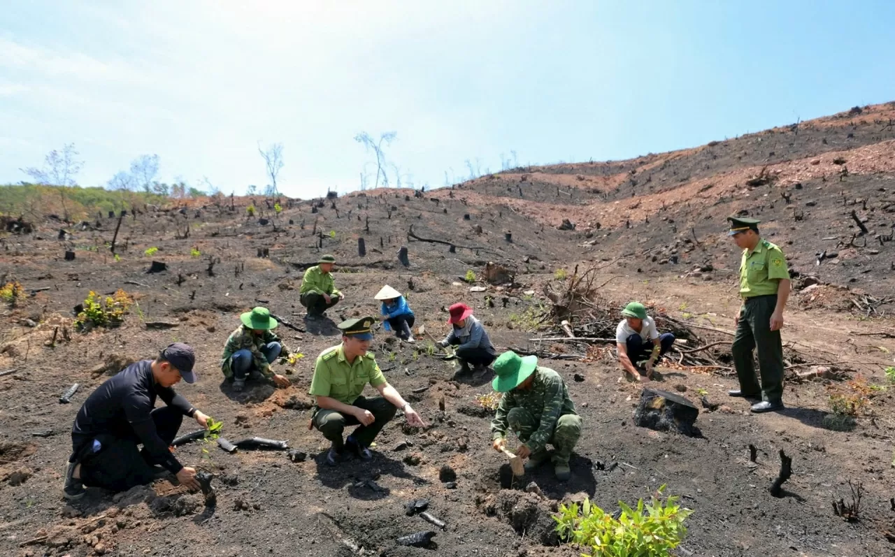 Kiểm lâm Hải Phòng “chuyển mình” trong kỷ nguyên mới Kiểm lâm Hải Phòng “chuyển mình” trong kỷ nguyên mới