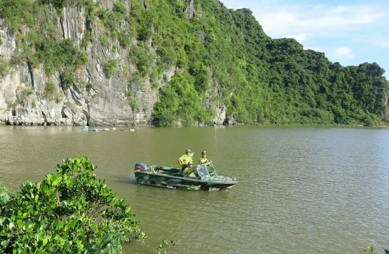 Kiểm lâm Hải Phòng “chuyển mình” trong kỷ nguyên mới Kiểm lâm Hải Phòng “chuyển mình” trong kỷ nguyên mới