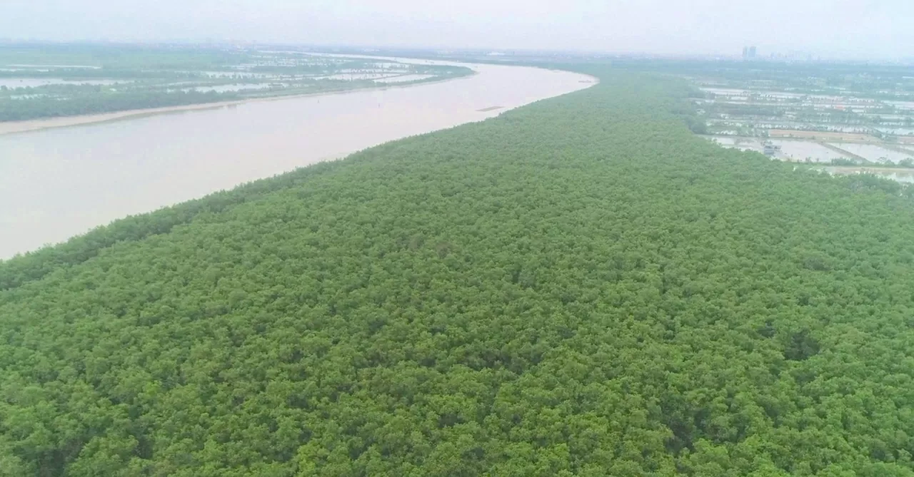 Kiểm lâm Hải Phòng “chuyển mình” trong kỷ nguyên mới Kiểm lâm Hải Phòng “chuyển mình” trong kỷ nguyên mới