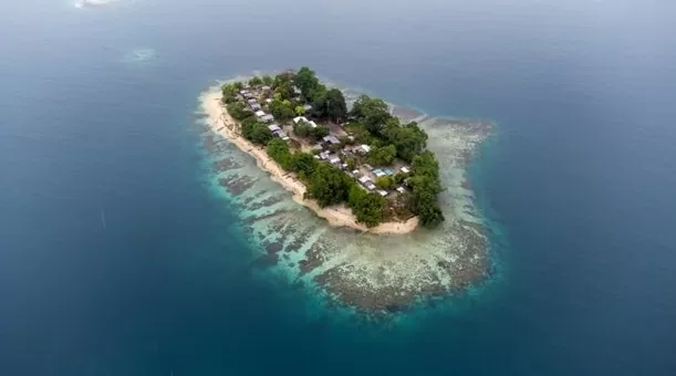 Australia từ bỏ quyền đăng cai tổ chức COP31 vào tay Thổ Nhĩ Kỳ, Papua New Guinea không vui Australia từ bỏ quyền đăng cai tổ chức COP31 vào tay Thổ Nhĩ Kỳ, Papua New Guinea không vui