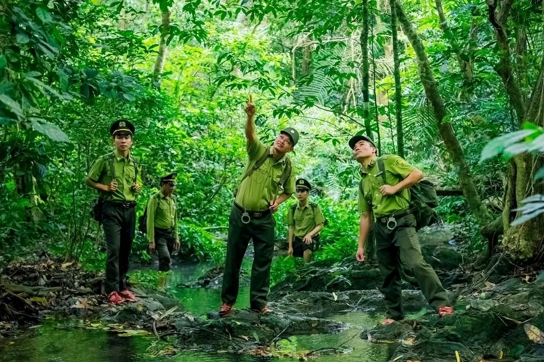 Chi cục Kiểm lâm tỉnh Đắk Lắk: Phát huy vai trò nòng cốt trong sự nghiệp bảo vệ rừng Chi cục Kiểm lâm tỉnh Đắk Lắk: Phát huy vai trò nòng cốt trong sự nghiệp bảo vệ rừng