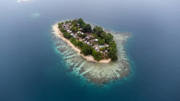 australia tu bo quyen dang cai cop31 vao tay tho nhi ky papua new guinea khong vui