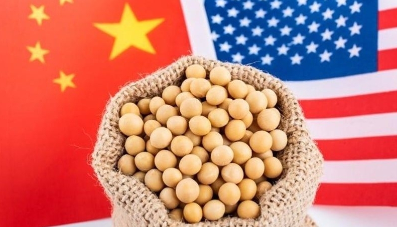 Hai tháng liên tiếp Trung Quốc không nhập khẩu đậu tương Mỹ, đối tác Nam Mỹ nào thay thế?
