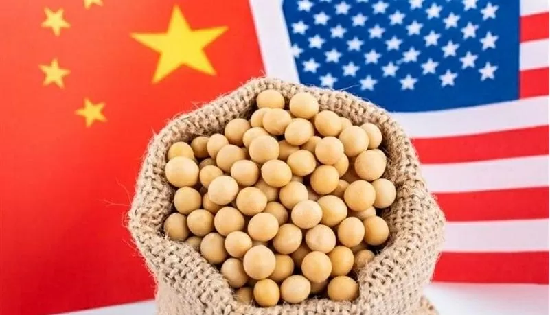 Hai tháng liên tiếp Trung Quốc không nhập khẩu đậu tương Mỹ Hai tháng liên tiếp Trung Quốc không nhập khẩu đậu tương Mỹ