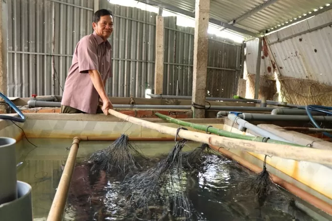 Cần Thơ chủ động, linh hoạt trong công tác an sinh xã hội Cần Thơ chủ động, linh hoạt trong công tác an sinh xã hội