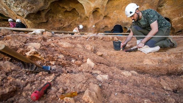 Khám phá bản đồ vũ trụ cổ đại tại di chỉ Maya Aguada Fénix