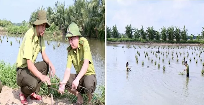 Sở Nông nghiệp và Môi trường tỉnh Thanh Hóa: Tăng trưởng ấn tượng, khởi sắc toàn diện Sở Nông nghiệp và Môi trường tỉnh Thanh Hóa: Tăng trưởng ấn tượng, khởi sắc toàn diện