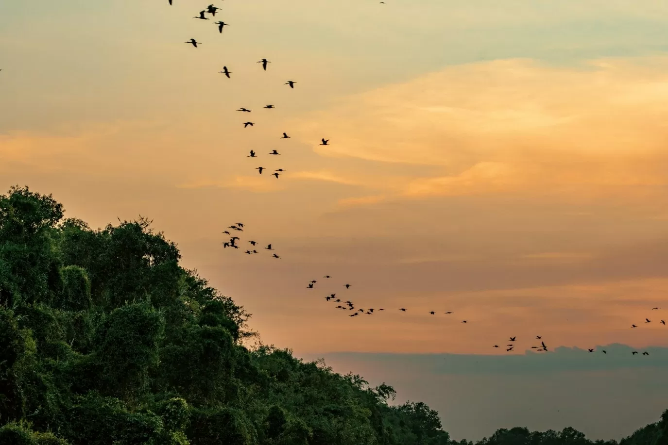 Chiều về, bầu trời nhuộm màu hồng tím, từng đàn chim lả lơi trên nền trời lặng