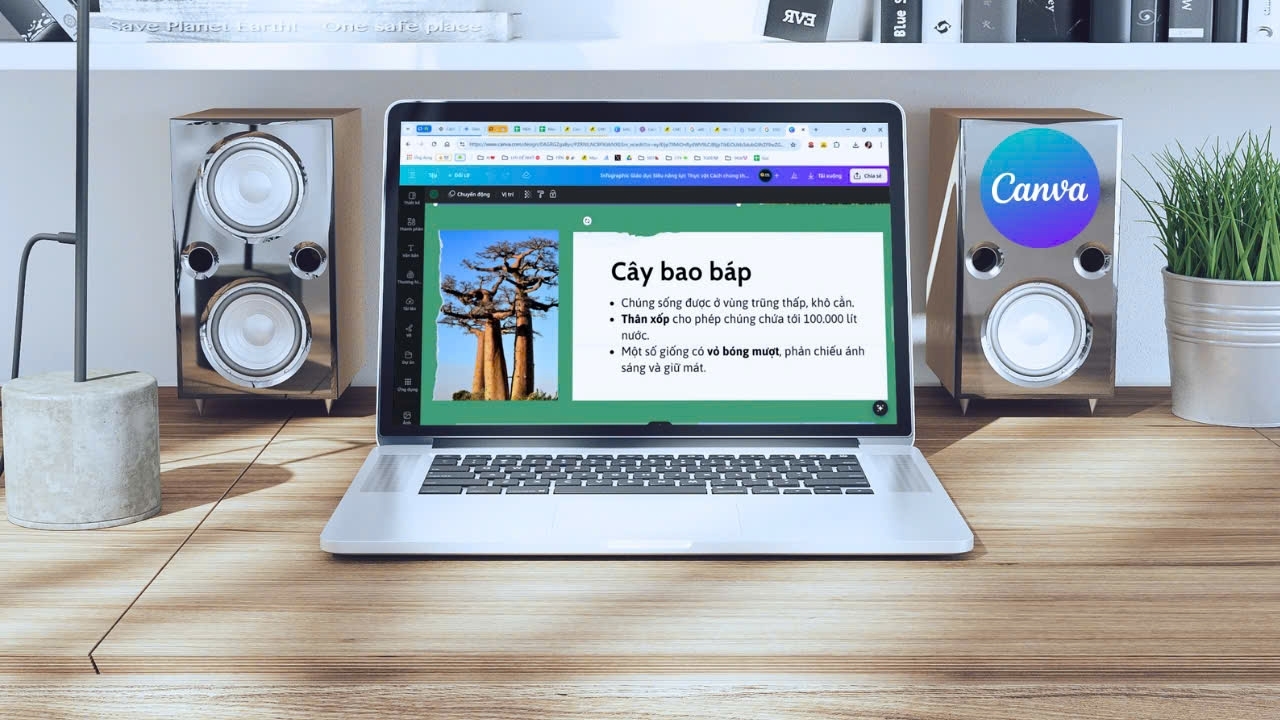 Bật mí cách chỉnh sửa file PDF trong Canva nhanh chóng