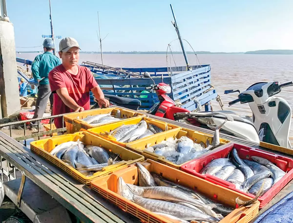 Cảng Trần Đề: 'Hạt nhân' trong chiến lược trở thành trung tâm kinh tế biển đa ngành của Cần Thơ Cảng Trần Đề: 'Hạt nhân' trong chiến lược trở thành trung tâm kinh tế biển đa ngành của Cần Thơ