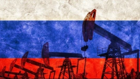 nga buoc dau ngam don lenh trung phat cua my an do giam manh mua dau yeu to so hai da duoc tiem vao thi truong