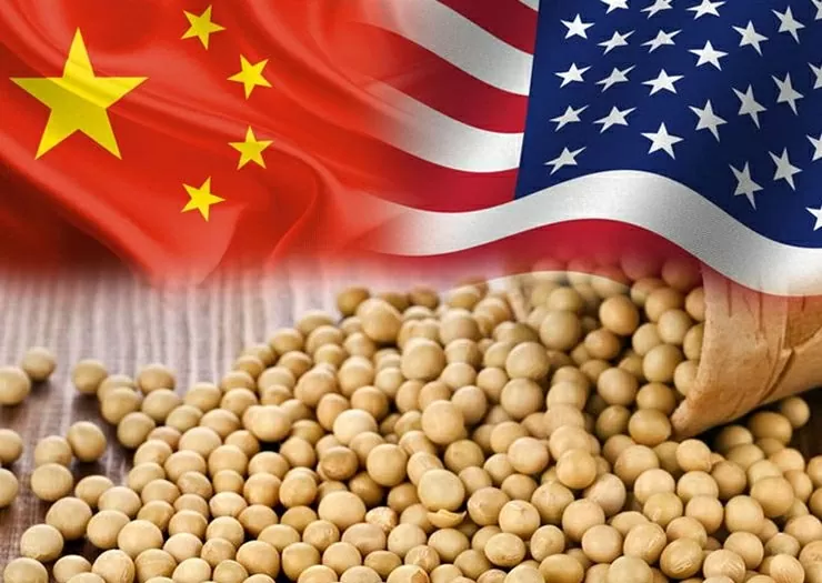 Sau điện đàm cấp cao, Trung Quốc tăng cường nhập khẩu đậu tương Mỹ