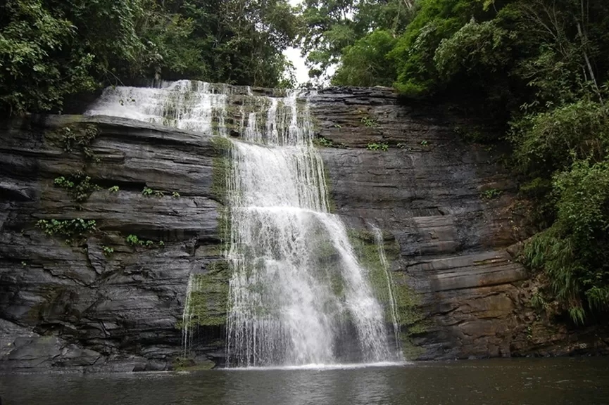 Công viên Thiên nhiên Quốc gia Los Katíos. (Nguồn:Công viên Thiên nhiên Quốc gia Colombia) Công viên Thiên nhiên Quốc gia Los Katíos. (Nguồn:Công viên Thiên nhiên Quốc gia Colombia)