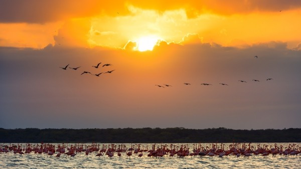 Colombia - vùng đất của những vẻ đẹp tuyệt sắc qua các vườn quốc gia