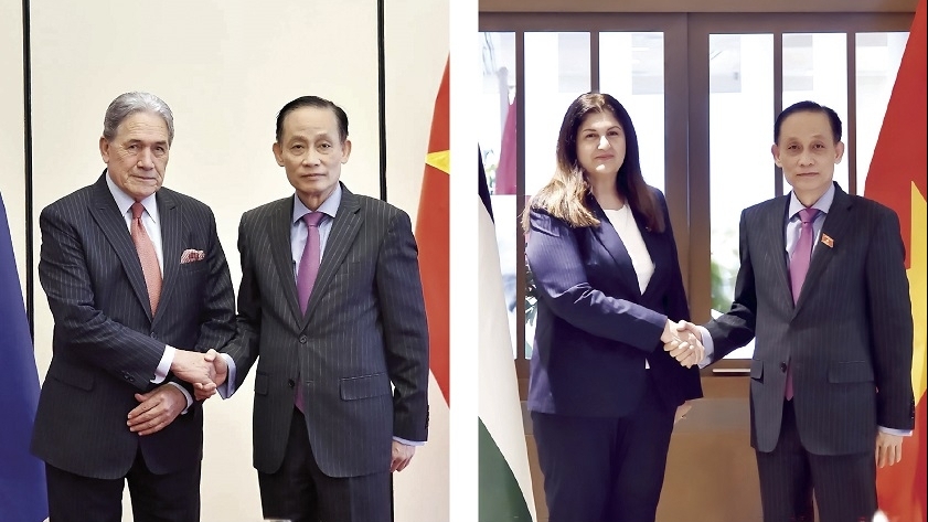 Gắn kết vì hòa bình và phát triển