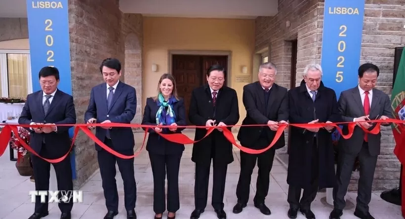 P6-50: Mở ra không gian hợp tác rộng lớn hơn P6-50: Mở ra không gian hợp tác rộng lớn hơn