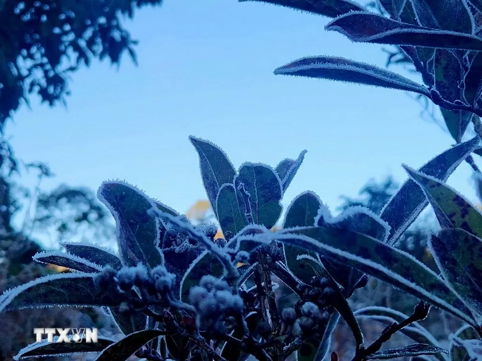 Băng giá phủ trắng Y Tý, khách đổ xô đặt kín phòng