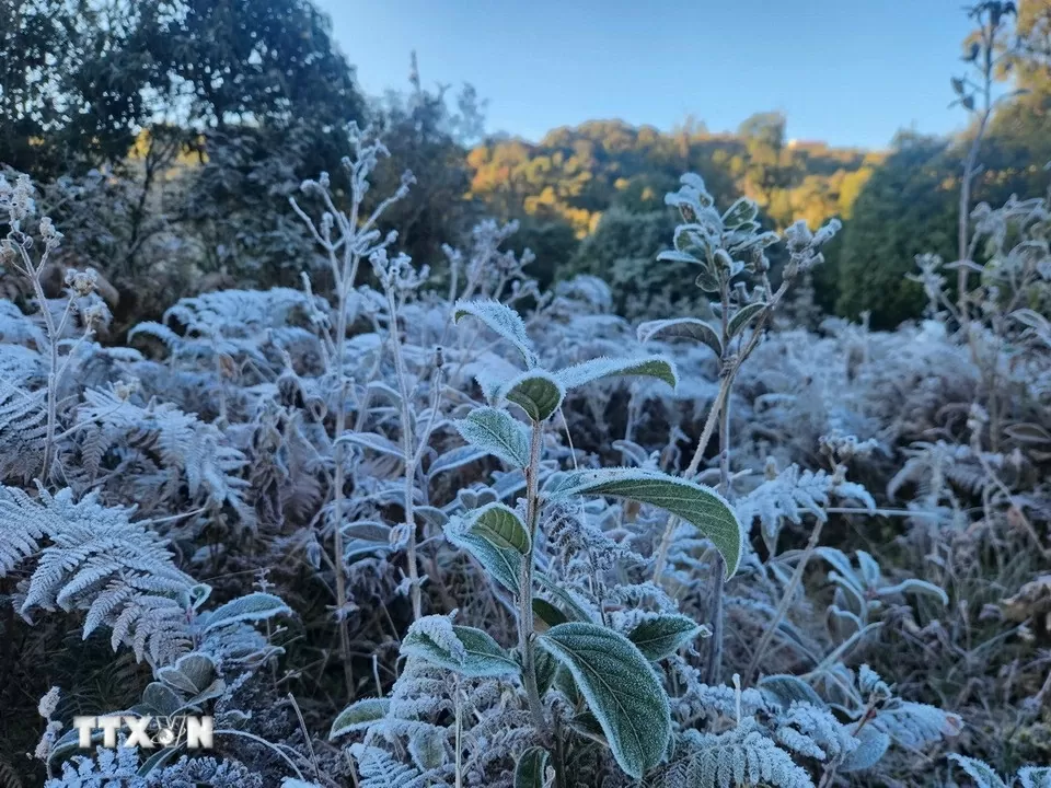 Băng giá phủ trắng Y Tý, khách đổ xô đặt kín phòng
