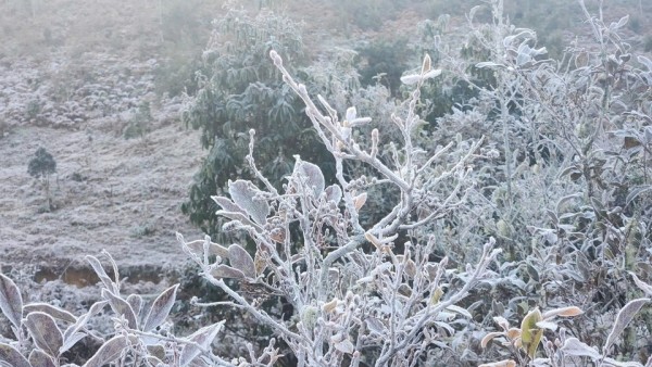 Lào Cai: Băng giá phủ trắng Y Tý tạo nên cảnh quan kỳ thú