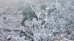 Lào Cai: Băng giá phủ trắng Y Tý tạo nên cảnh quan kỳ thú