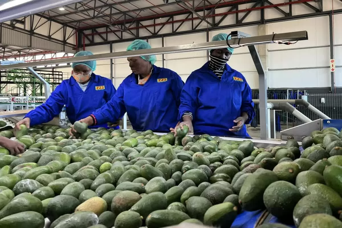 Quan hệ với Mỹ 'căng như dây đàn', Nam Phi chuyển hướng đa dạng hóa thị trường, Trung Quốc nhanh tay 'chớp thời cơ'